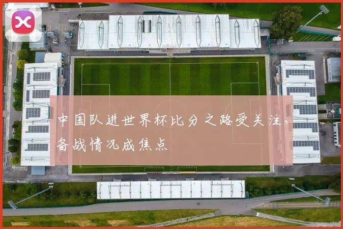 中国队进世界杯比分之路受关注，备战情况成焦点