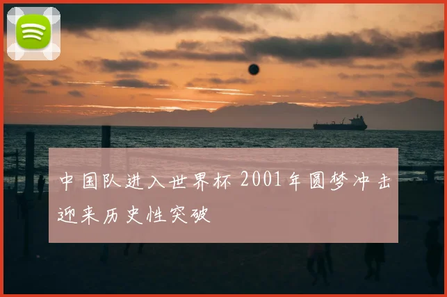 中国队进入世界杯 2001年圆梦冲击迎来历史性突破