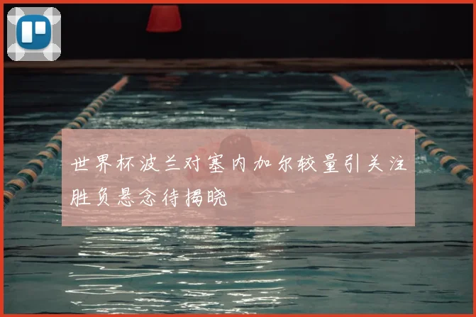 世界杯波兰对塞内加尔较量引关注胜负悬念待揭晓