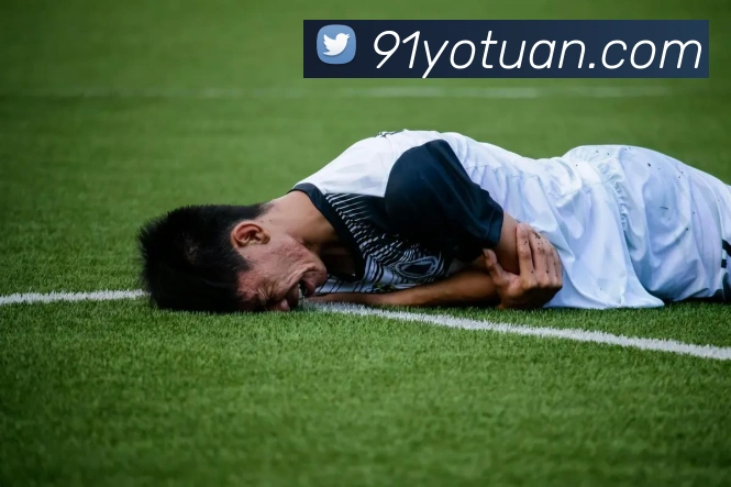 kaiyun官方入口APP 封面图